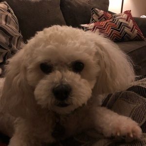 Meet your Posher, Jill